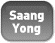 Saang Yong